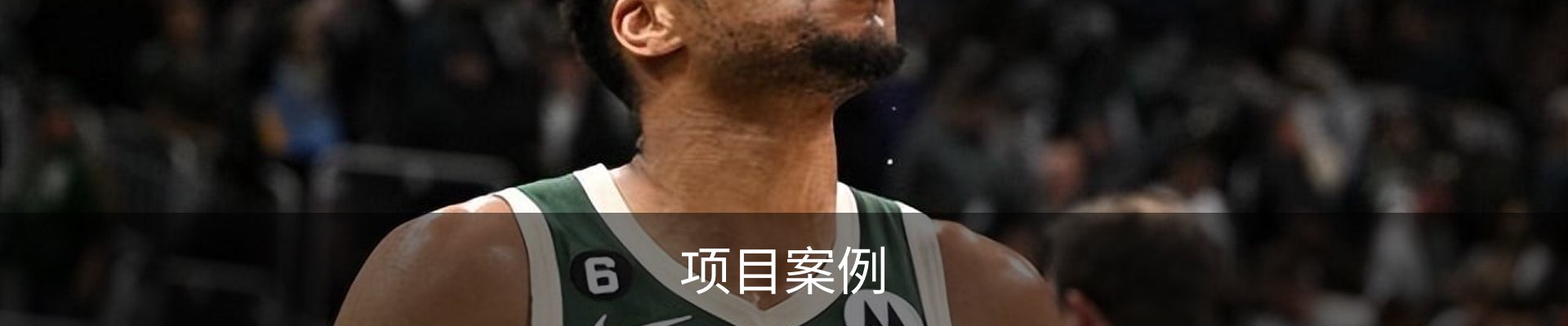 项目案例